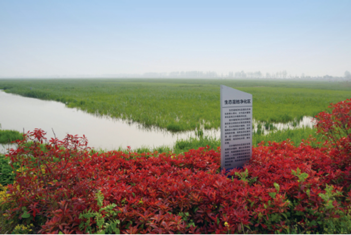 鹽城市區飲用水源地(鹽龍湖)生態凈化工程